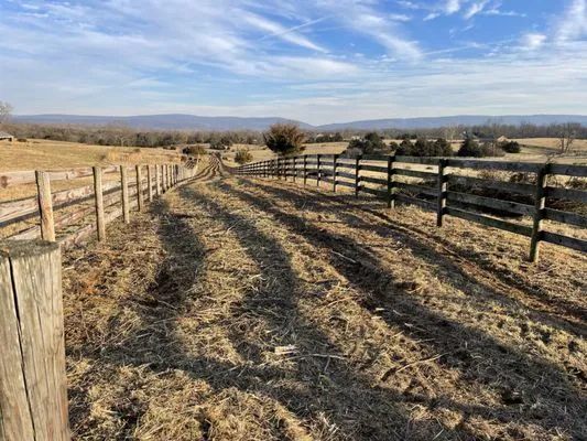 J S Lawn Service Logo