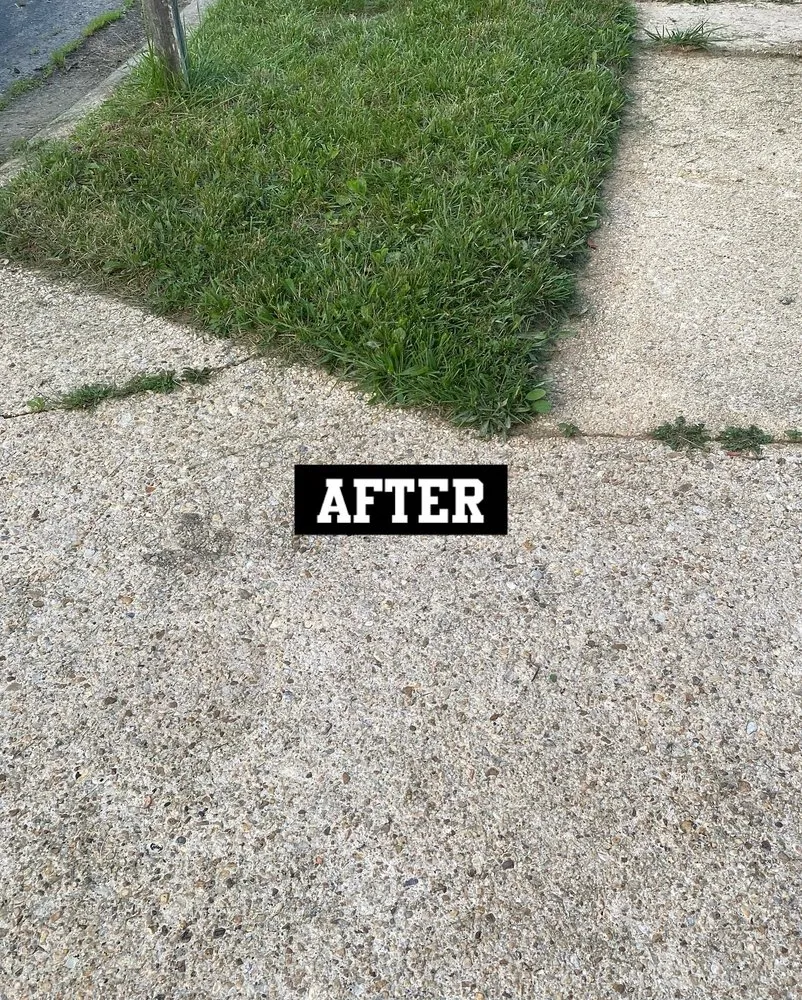 Local yard cleanup service for residential properties across Waldorf, MD - J S Southern Scapes