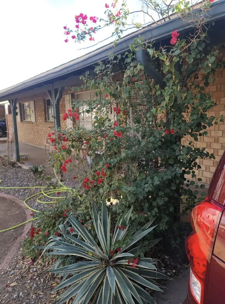 Affordable lawn care service in Youngtown, AZ - J Scapes Landscaping