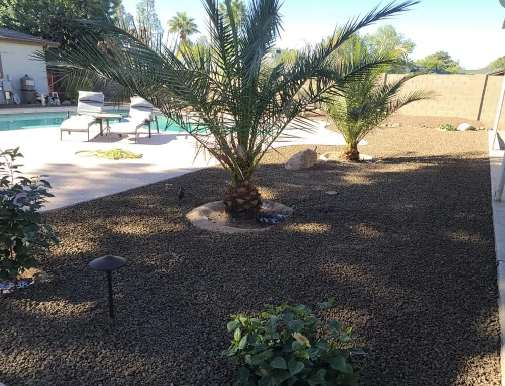Professional lawn mowing service in Youngtown, AZ - J Scapes Landscaping