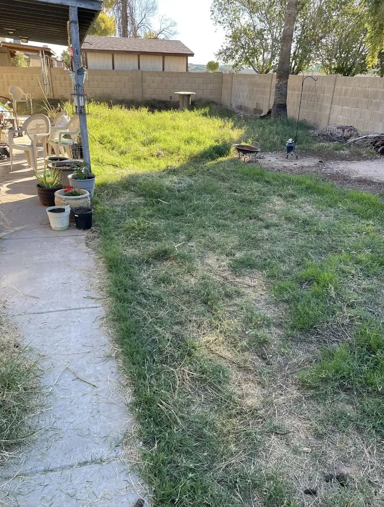 Affordable landscaping services for outdoor upgrades in Youngtown, AZ by J Scapes Landscaping