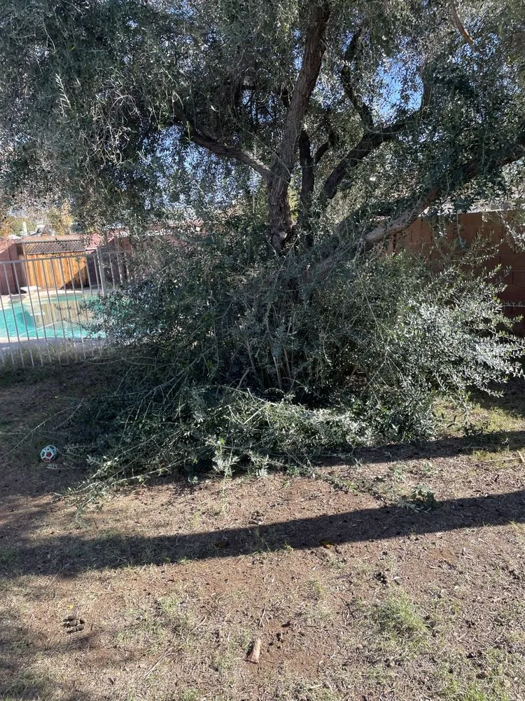 Expert landscape design with custom design across Youngtown, AZ - J Scapes Landscaping