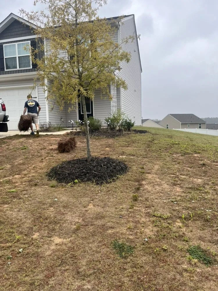 Top-rated residential landscaping experts serving Lincolnton, NC - J Scapes