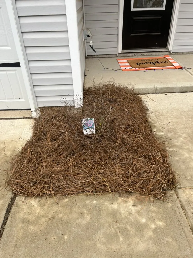 Reliable garden landscaping experts serving Lincolnton, NC - J Scapes