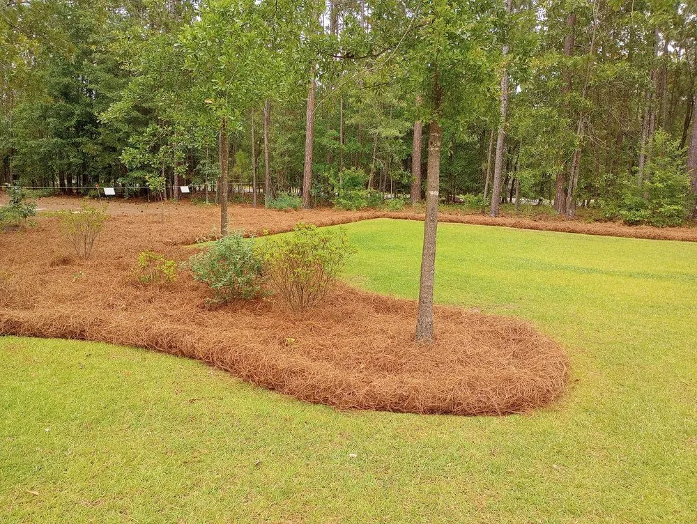 Affordable garden landscaping in Columbia, SC - J Smith Pine Needles and Landscaping