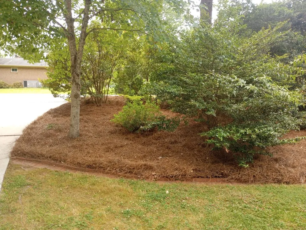 Trusted lawn mowing service in Columbia, SC - J Smith Pine Needles and Landscaping