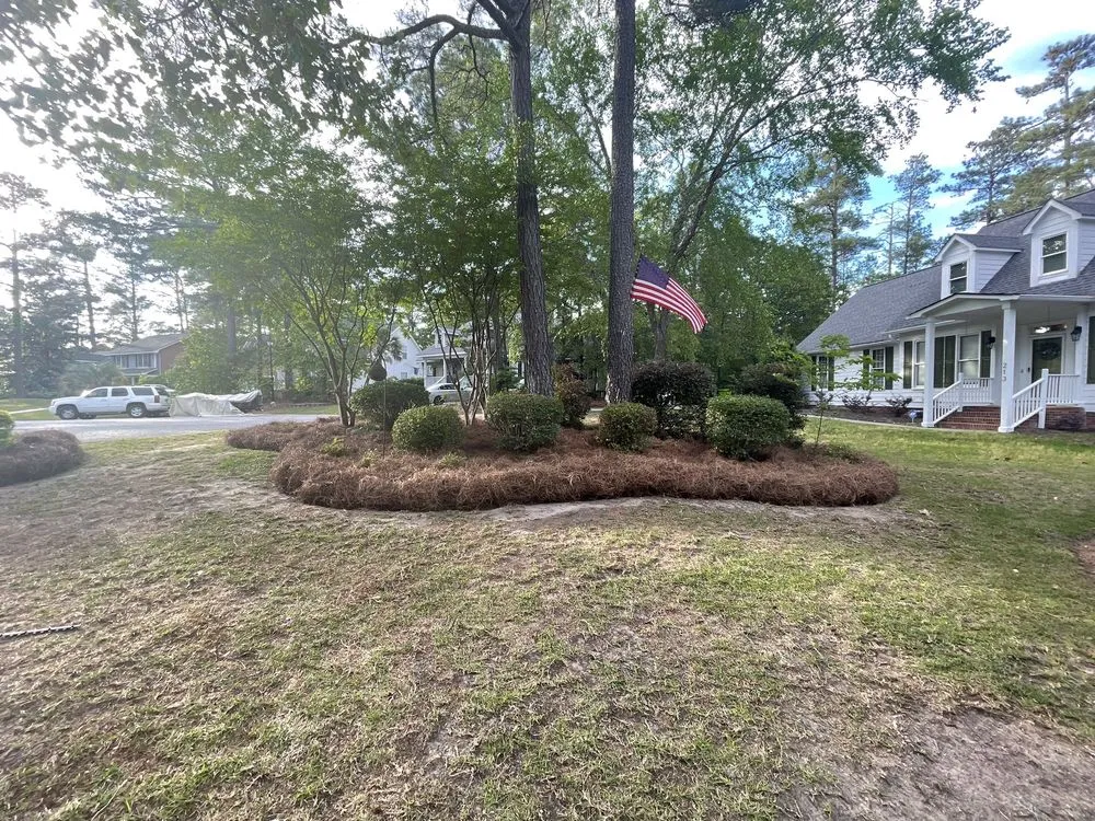 Custom landscape installation in Columbia, SC by J Smith Pine Needles and Landscaping