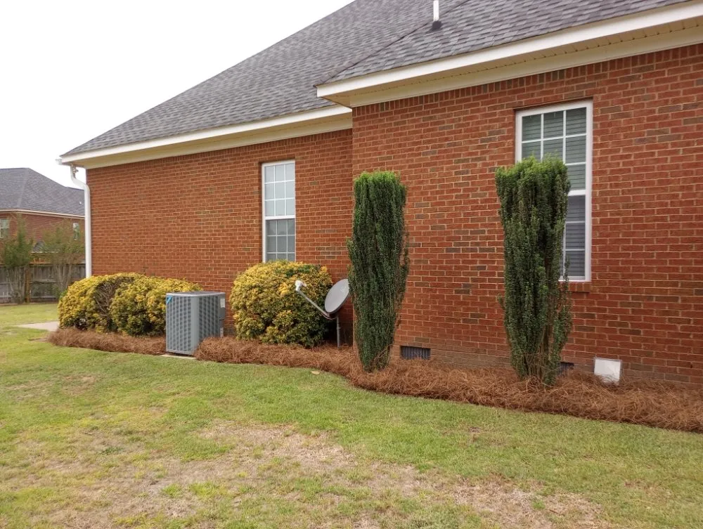 Reliable landscaping services for outdoor upgrades in Columbia, SC by J Smith Pine Needles and Landscaping