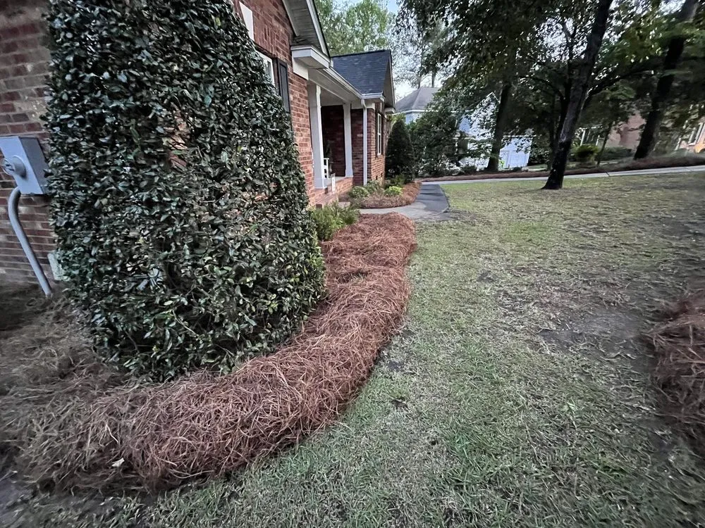 Custom landscape installation in Columbia, SC by J Smith Pine Needles and Landscaping