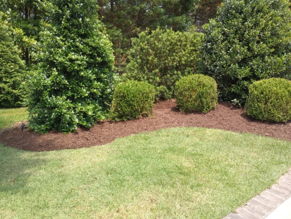 Professional outdoor landscaping near you across Columbia, SC - J Smith Pine Needles and Landscaping