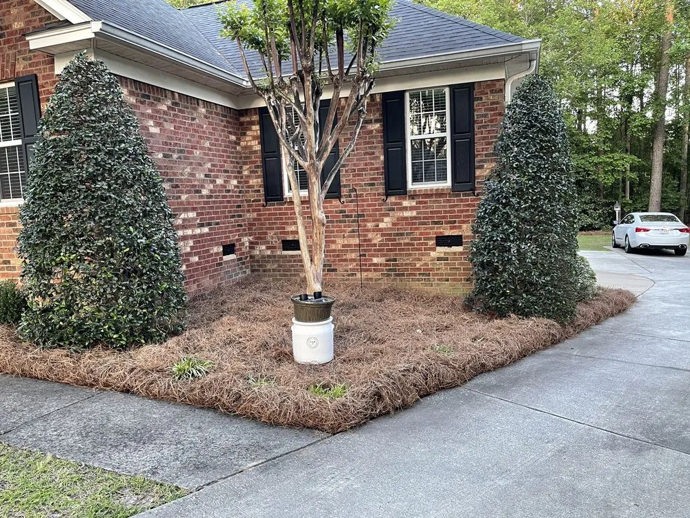 Professional yard maintenance experts serving Columbia, SC - J Smith Pine Needles and Landscaping