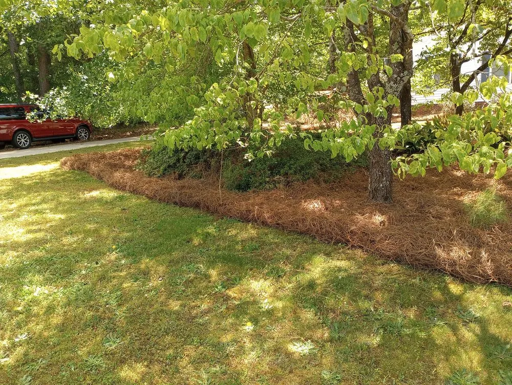 Trusted residential landscaping experts serving Columbia, SC - J Smith Pine Needles and Landscaping