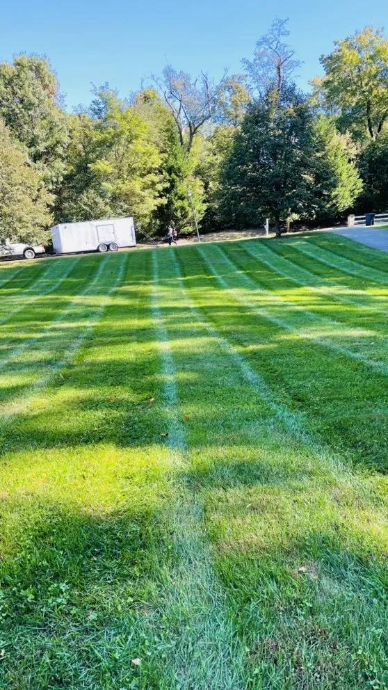 Reliable landscaping services for year-round maintenance in Glen Burnie, MD by J Son Landscaping