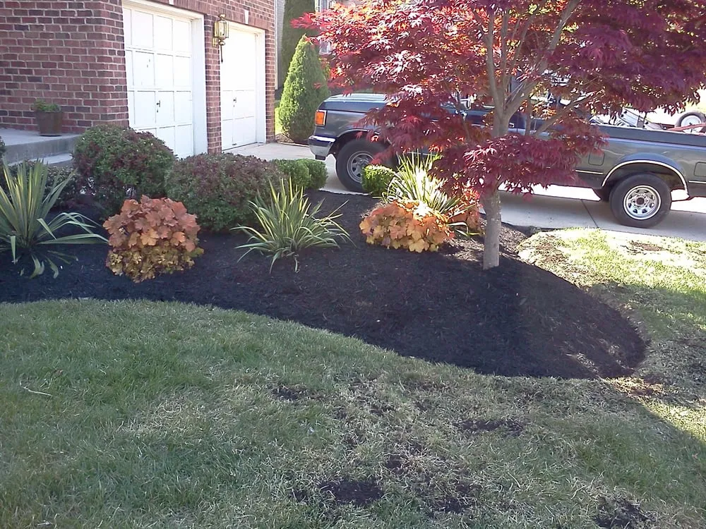 Local yard cleanup service for outdoor upgrades in Bowie, MD by J Sorto Remodeling