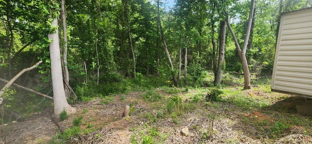 Affordable lawn care service experts serving Griffin, GA - J Southern Solutions