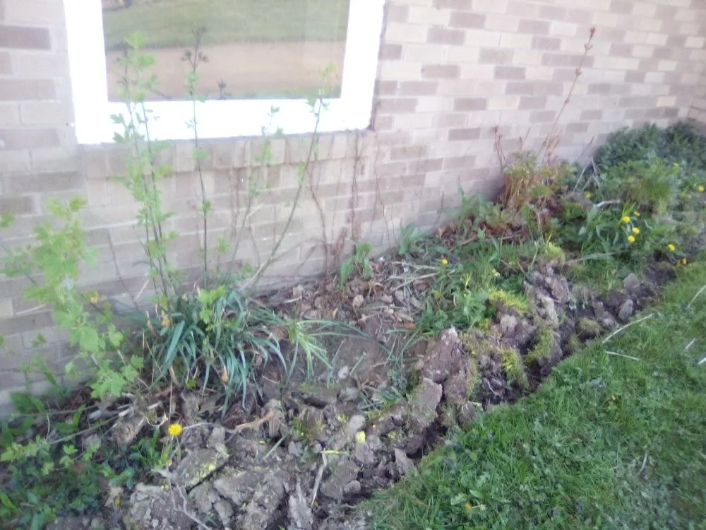 Affordable lawn care service in Canton, OH by J Square