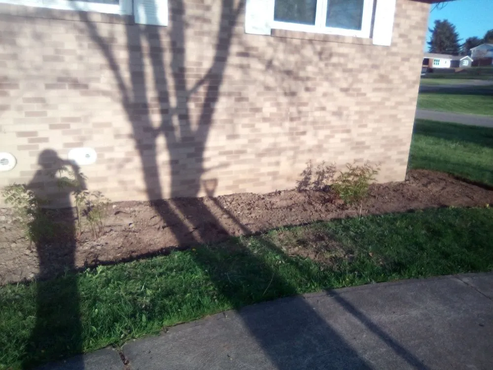 Professional landscape design experts serving Canton, OH - J Square