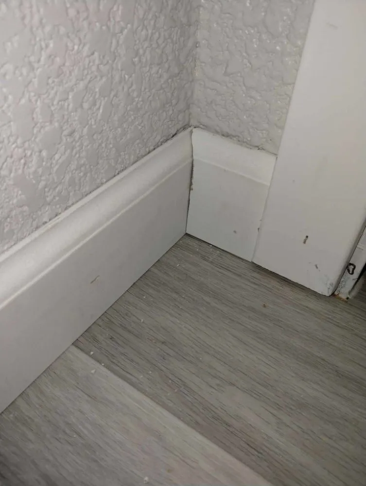 Top-rated outdoor landscaping experts serving Rendon, TX - J Stockton Services