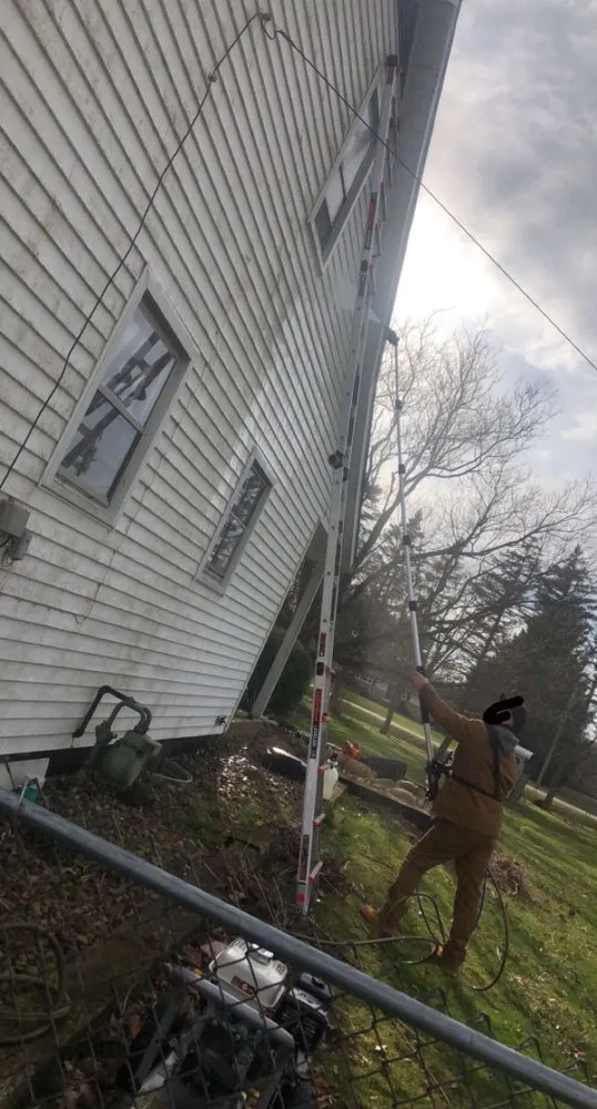 Affordable yard maintenance experts serving Lorain, OH - J Szakal Services