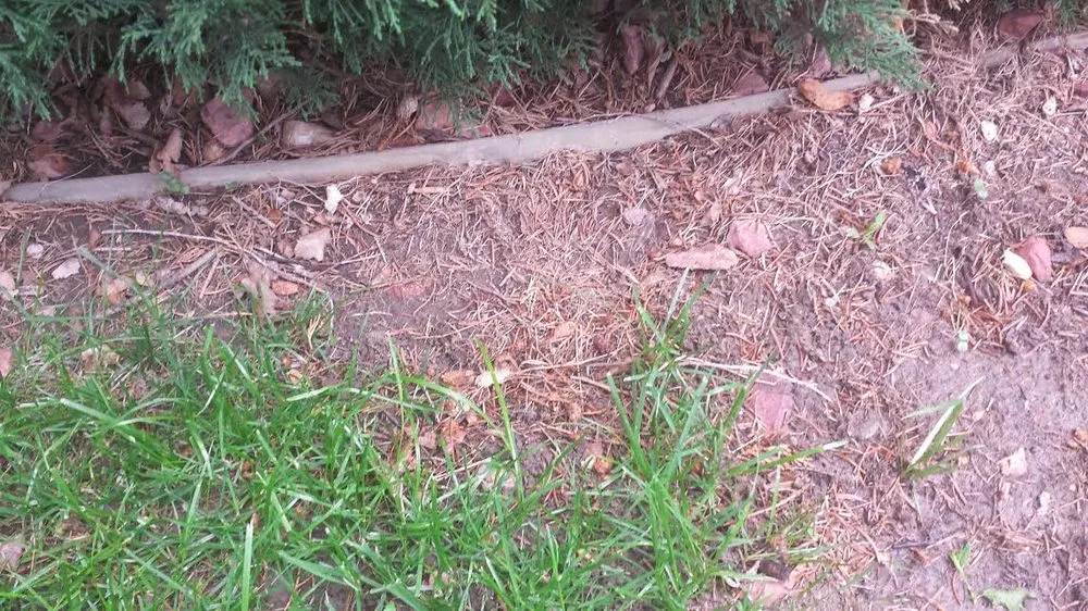 Custom lawn care service in Colorado Springs, CO - J T B Landscaping