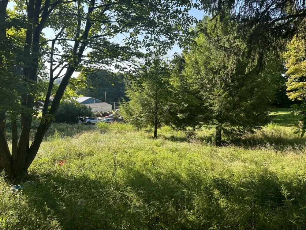 Reliable yard cleanup service in Heath, OH by J T lawncare and landscape