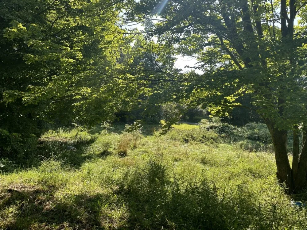 Top-rated landscape installation for residential properties in Heath, OH by J T lawncare and landscape