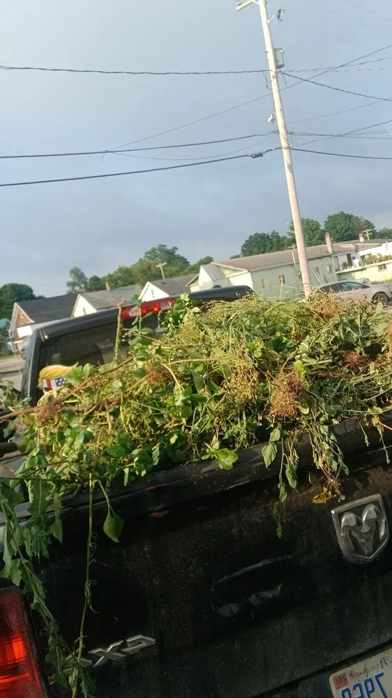 Trusted residential landscaping for year-round maintenance across Mancelona, MI - J T Mowing