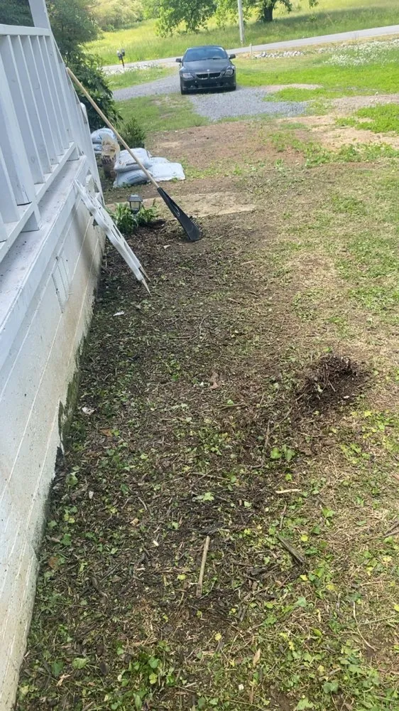 Trusted yard maintenance in Arab, AL - J T S Johnson’s Tree Service