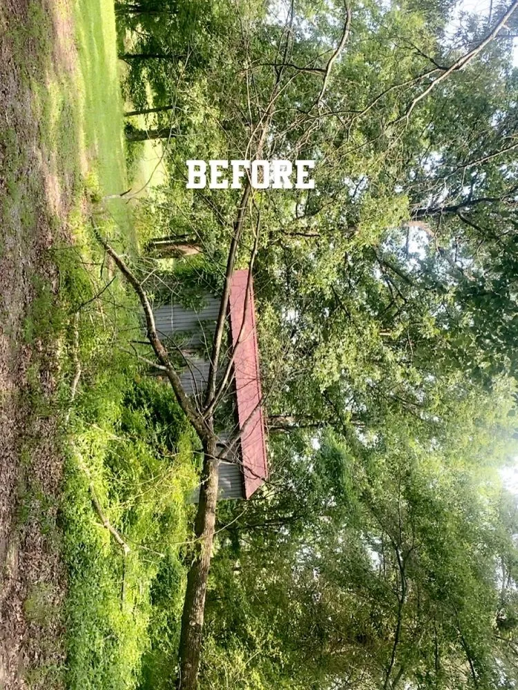 Top-rated landscape installation in Arab, AL - J T S Johnson’s Tree Service