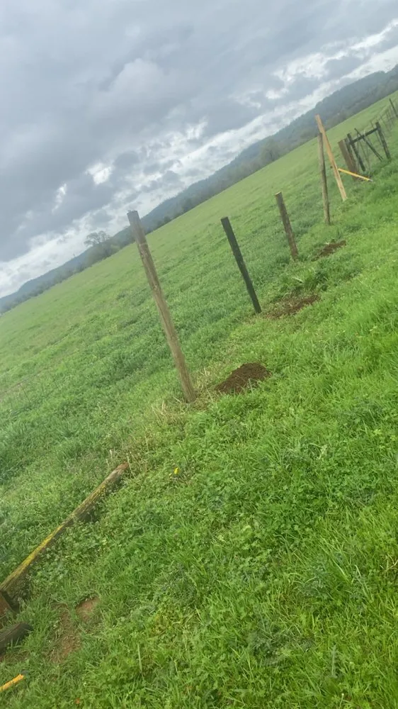 Affordable lawn care service experts serving Arab, AL - J T S Johnson’s Tree Service