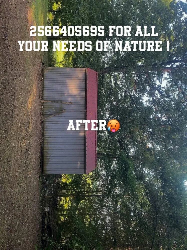 Custom landscape design near you across Arab, AL - J T S Johnson’s Tree Service