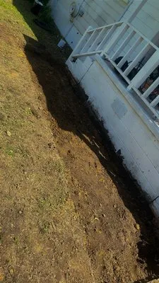 J T S Johnson’s Tree Service Logo