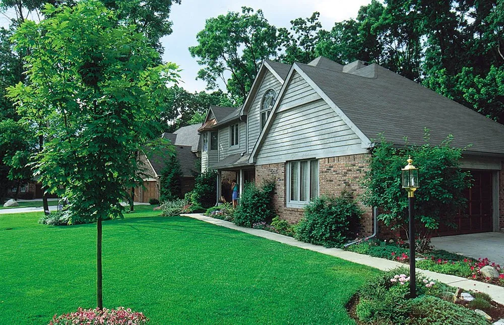 Top-rated residential landscaping in Palm Springs, CA - J T Sprinkler Service