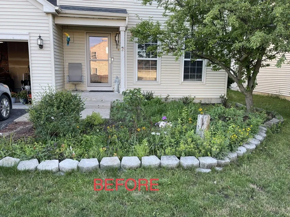 Affordable yard cleanup service for year-round maintenance across Ingleside, IL - J Torres Landscaping