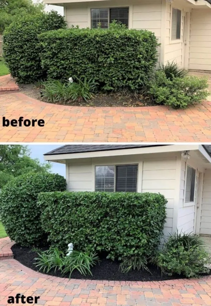Professional outdoor landscaping in Kansas City, MO by J T’s Lawn and Home Repair