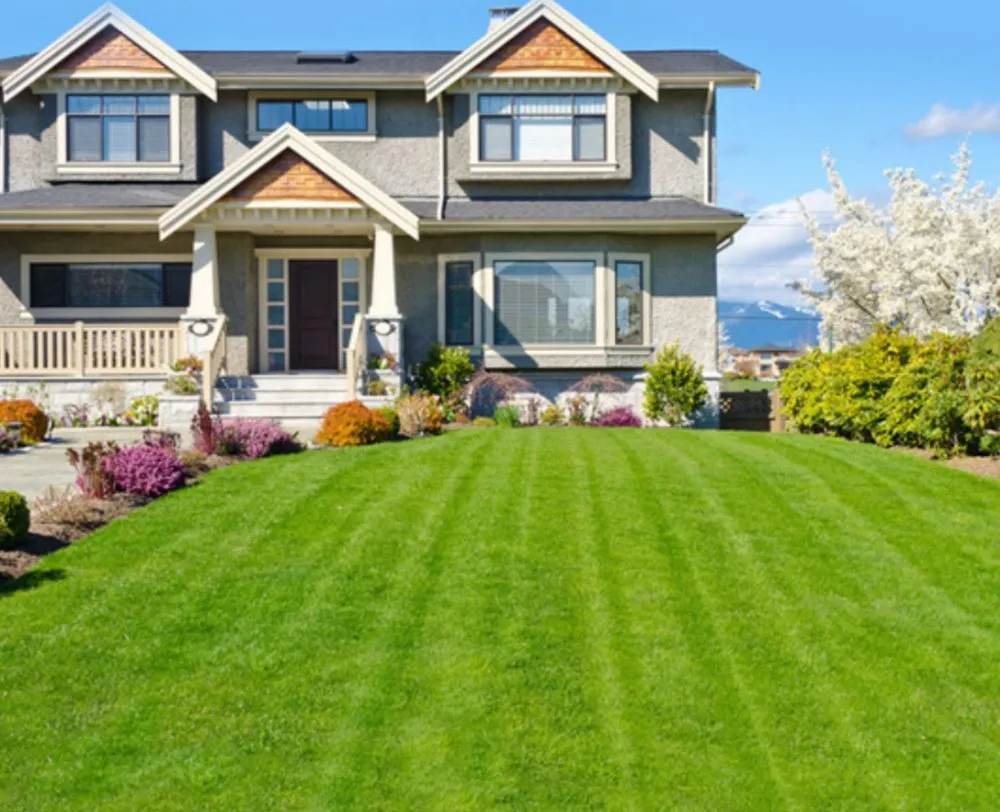Affordable landscaping services in Kansas City, MO - J T’s Lawn and Home Repair