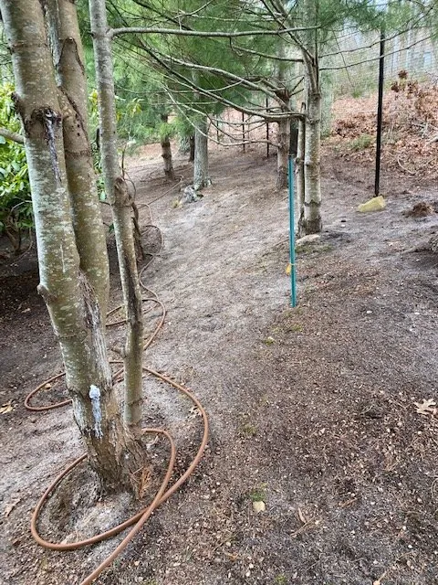 Expert lawn mowing service experts serving Mastic, NY - J V B Earth Management