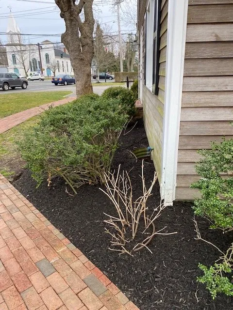 Affordable lawn care service in Mastic, NY - J V B Earth Management