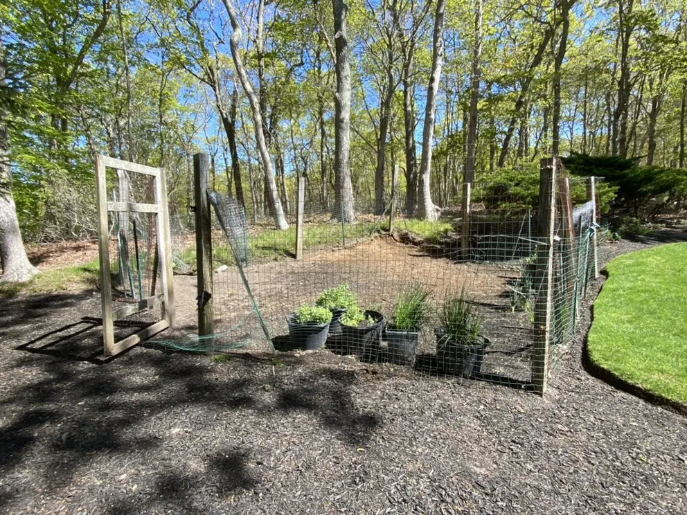 Reliable lawn mowing service for homes in Mastic, NY by J V B Earth Management