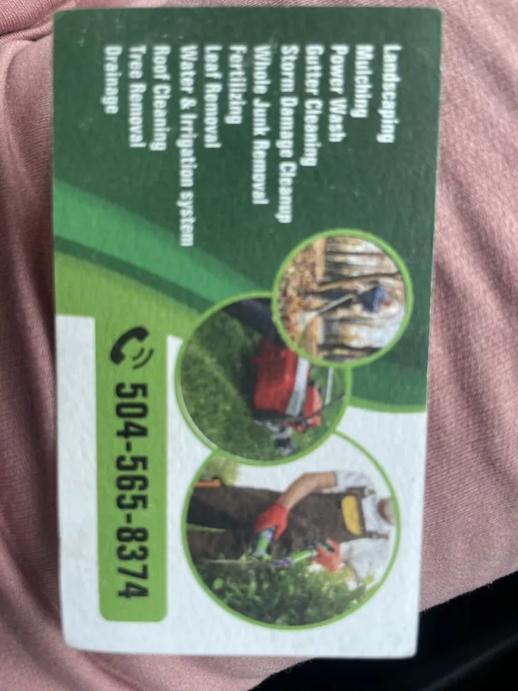 Top-rated yard cleanup service for homes across Metairie, LA - J V Company