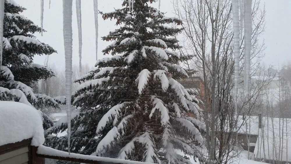 Trusted outdoor landscaping in Lomita, CA - J V Scapes