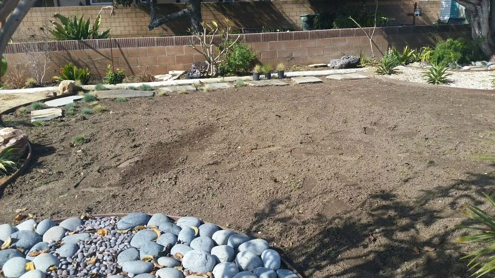Affordable landscaping services experts serving Lomita, CA - J V Scapes