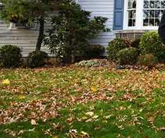 Custom landscape installation experts serving Dover, PA - J. Vargas Landscape
