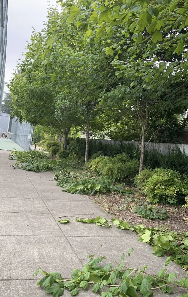 Professional lawn care service experts serving Kalama, WA - J Vegas Lawncare & Junk Removal