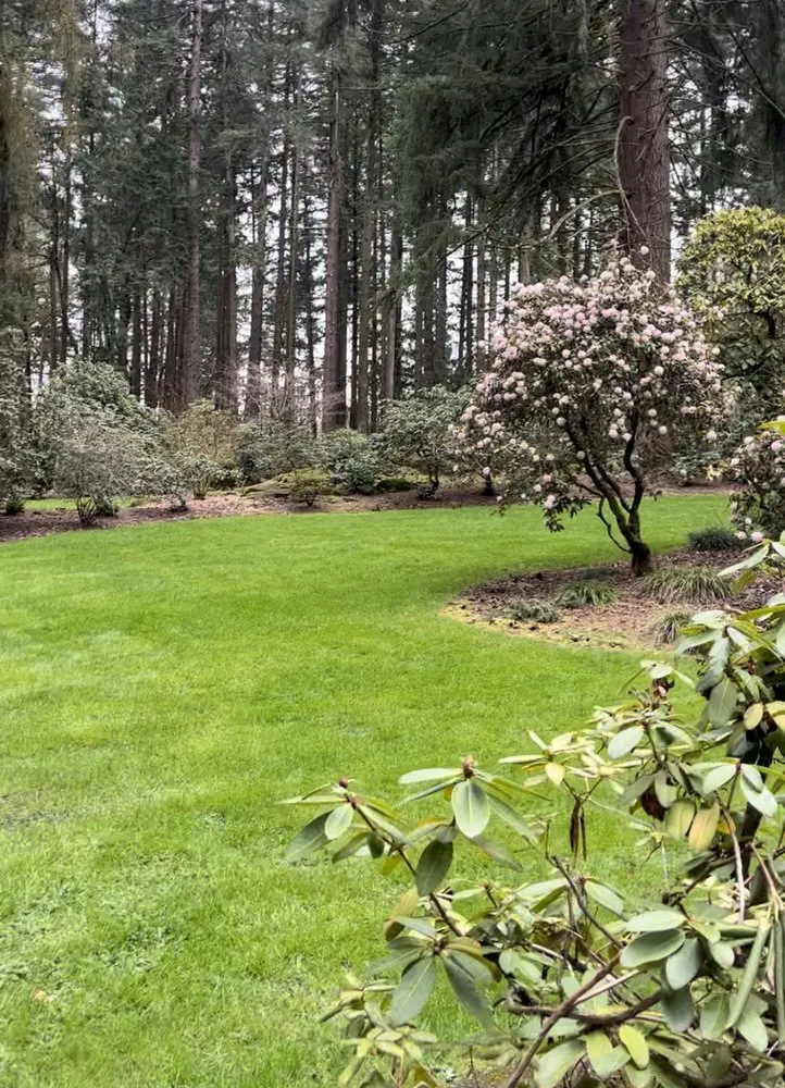 Trusted yard cleanup service in Kalama, WA - J Vegas Lawncare & Junk Removal