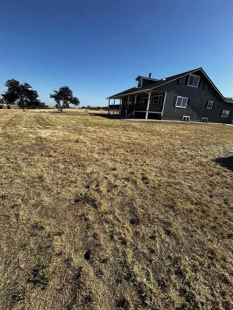 Trusted garden landscaping for outdoor upgrades in Lincoln, CA by J Velasco Landscaping