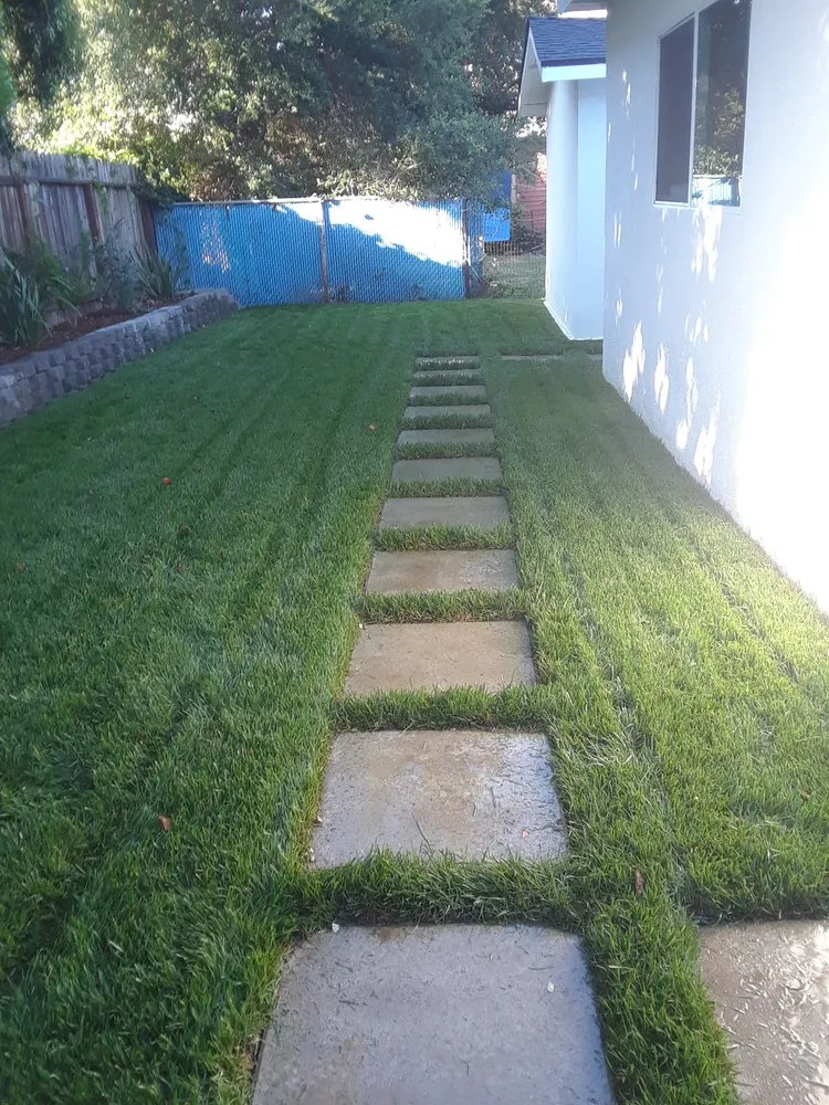 Top-rated landscaping services in Los Angeles, CA by J Villanueva Landscaping