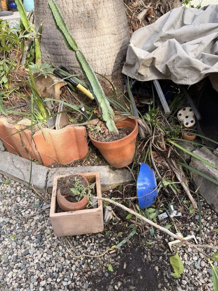 Professional yard maintenance with custom design across Los Angeles, CA - J Villanueva Landscaping