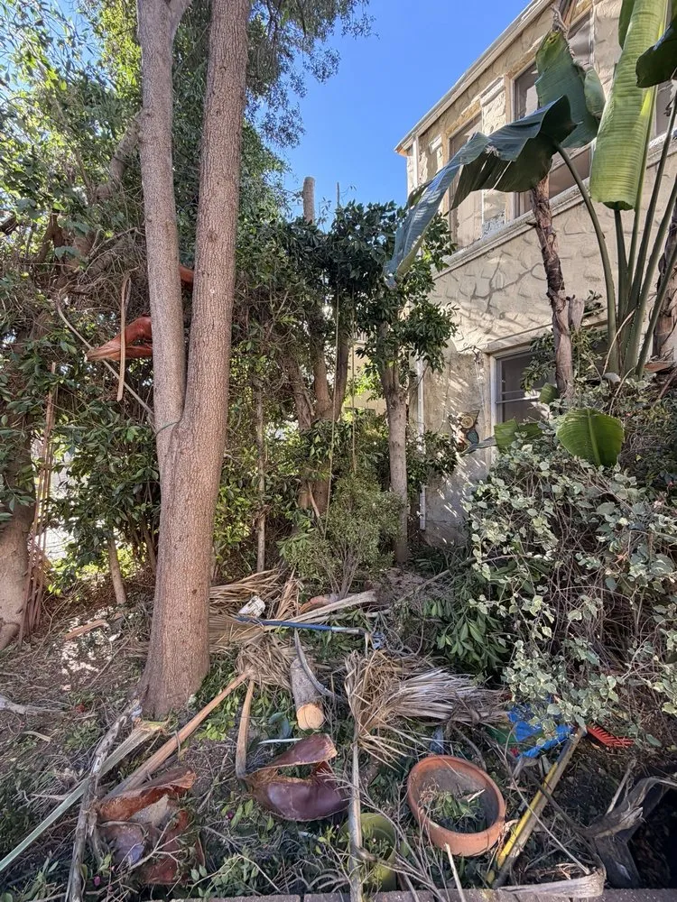 Local outdoor landscaping in Los Angeles, CA - J Villanueva Landscaping