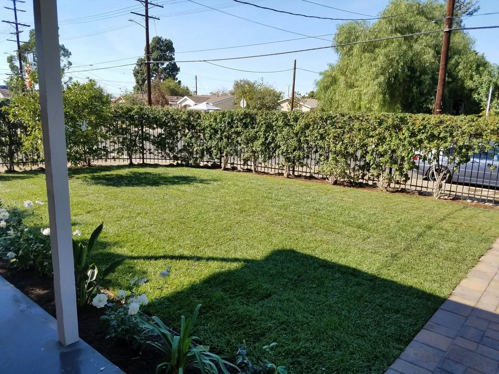 Custom lawn mowing service in Los Angeles, CA by J Villanueva Landscaping